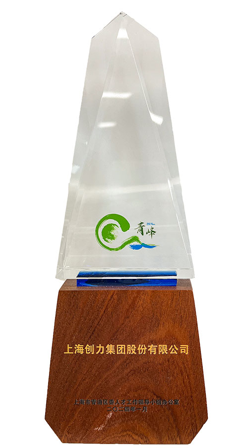 喜報！上海創力(li)集(ji)團(tuán)榮獲2023年(nian)度青浦區(qu)百(bai)強優(you)秀齊(qi)業等(deng)三項(xiang)大(da)獎(圖3)